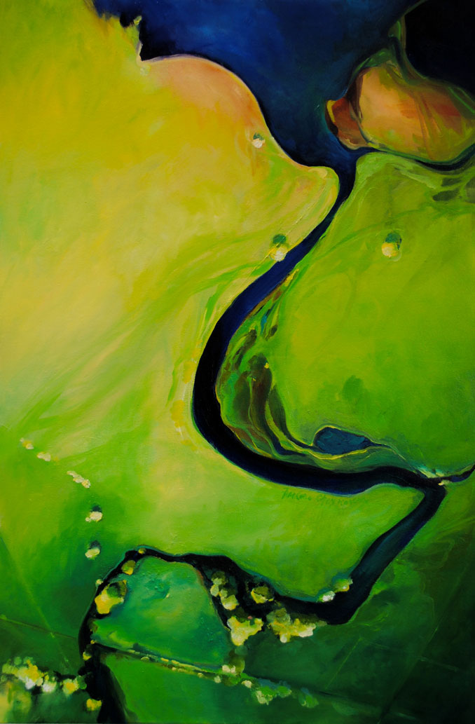 Above the Shadows original aerial view original oil painting by Francene Christianson